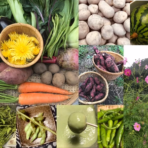 【月１定期】おまかせ野菜セット