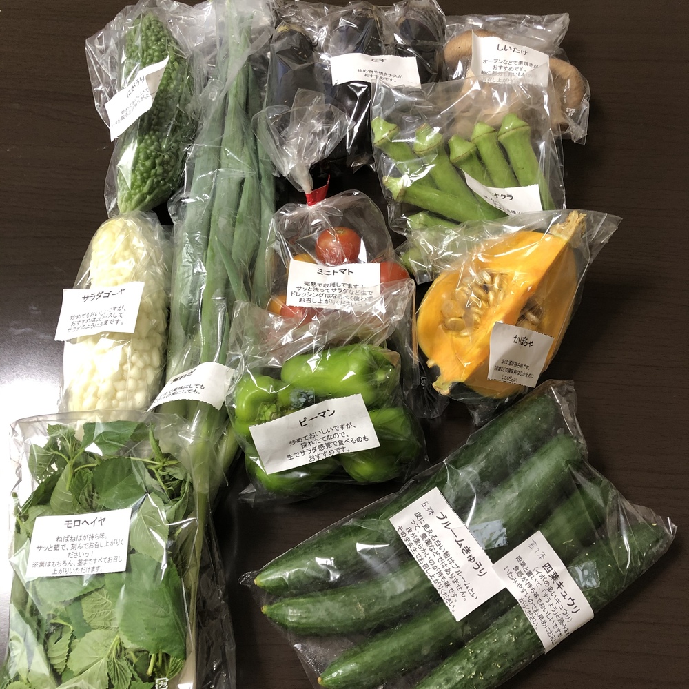 黄色にんじん 金美 ふぞろいサイズセット 菜菜彩 農家漁師直送のポケットマルシェ