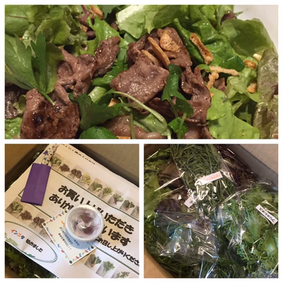 みんなの投稿の画像