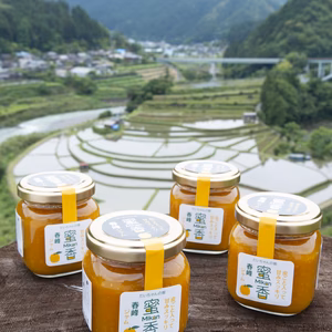 送料無料）春峰マレード　御中元・お歳暮・【有田産】本家の味❣　1個～