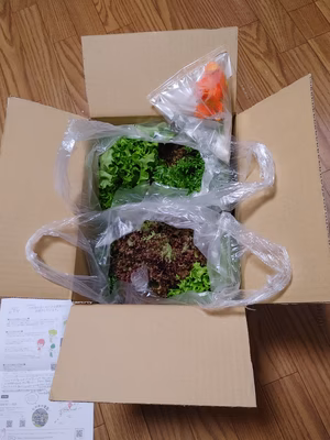 みんなの投稿の画像