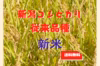 新米 初売りセール！希少な従来品種！新潟 コシヒカリ <送料無料> こしひかり
