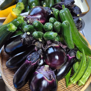 夏野菜！おまかせ感謝BOX