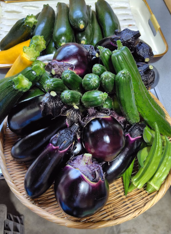 夏野菜！おまかせ感謝BOX