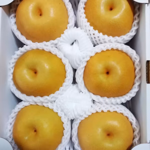 【樹上完熟】豊水梨(もぎたて直送)