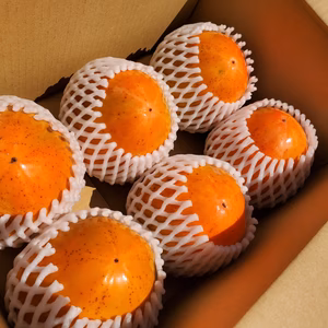 【お得にお試し♪】渋抜き富士柿／家庭用中玉6個入り