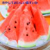 尾花沢大玉すいか 羅王食べ比べセット(金色＋ザスウィート) 各1玉 