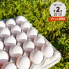 エサと鮮度にこだわりアリ！　宮たま(白)×40個