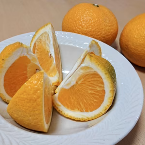 うずらスイートスプリング