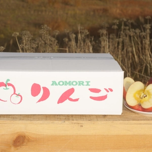 【皮ごと食べてほしい】サンふじ　青森県産　りんご　糖度15度以上　リンゴの定番　