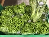 ♦︎減農薬栽培♦︎サニーレタス＆グリーンリーフ/食べ比べセット