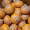 【農薬不使用】無農薬有田みかん 訳ありの特価品