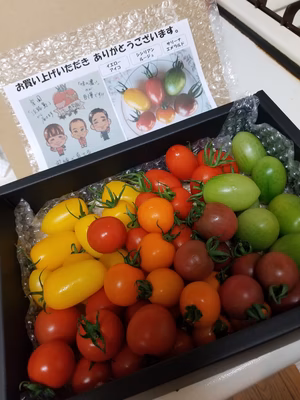 みんなの投稿の画像