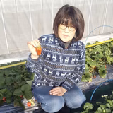 山口千代子 | 山口いちご園