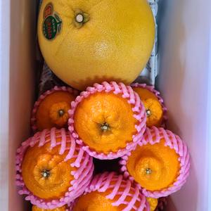 熊本県特産　ばんぺいゆ&不知火セット