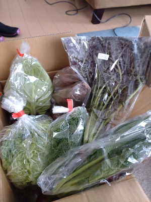 みんなの投稿の画像