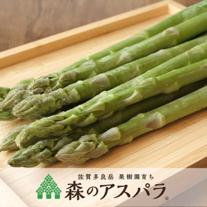 【森のアスパラ】ジューシーな佐賀県産！調理しやすいM~Lサイズ