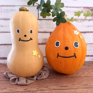 おうち　de ハロウィン(^^♪【訳あり】バターナッツカボチャ＆コリンキー