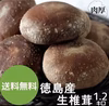 送料無料【北海道・沖縄除く】無農薬椎茸 徳島県産 菌床しいたけ