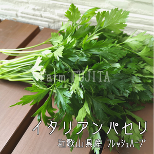 【摘みたてお届け】イタリアンパセリ☆乾燥させても香り良し！