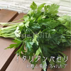 【摘みたてお届け】イタリアンパセリ