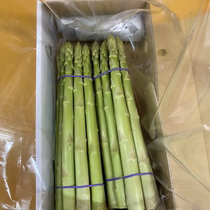 香川県産品さぬきのめざめ　2Lサイズ　　400g×2