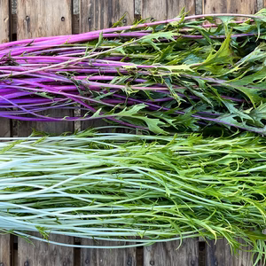 シャキシャキ！水菜天国