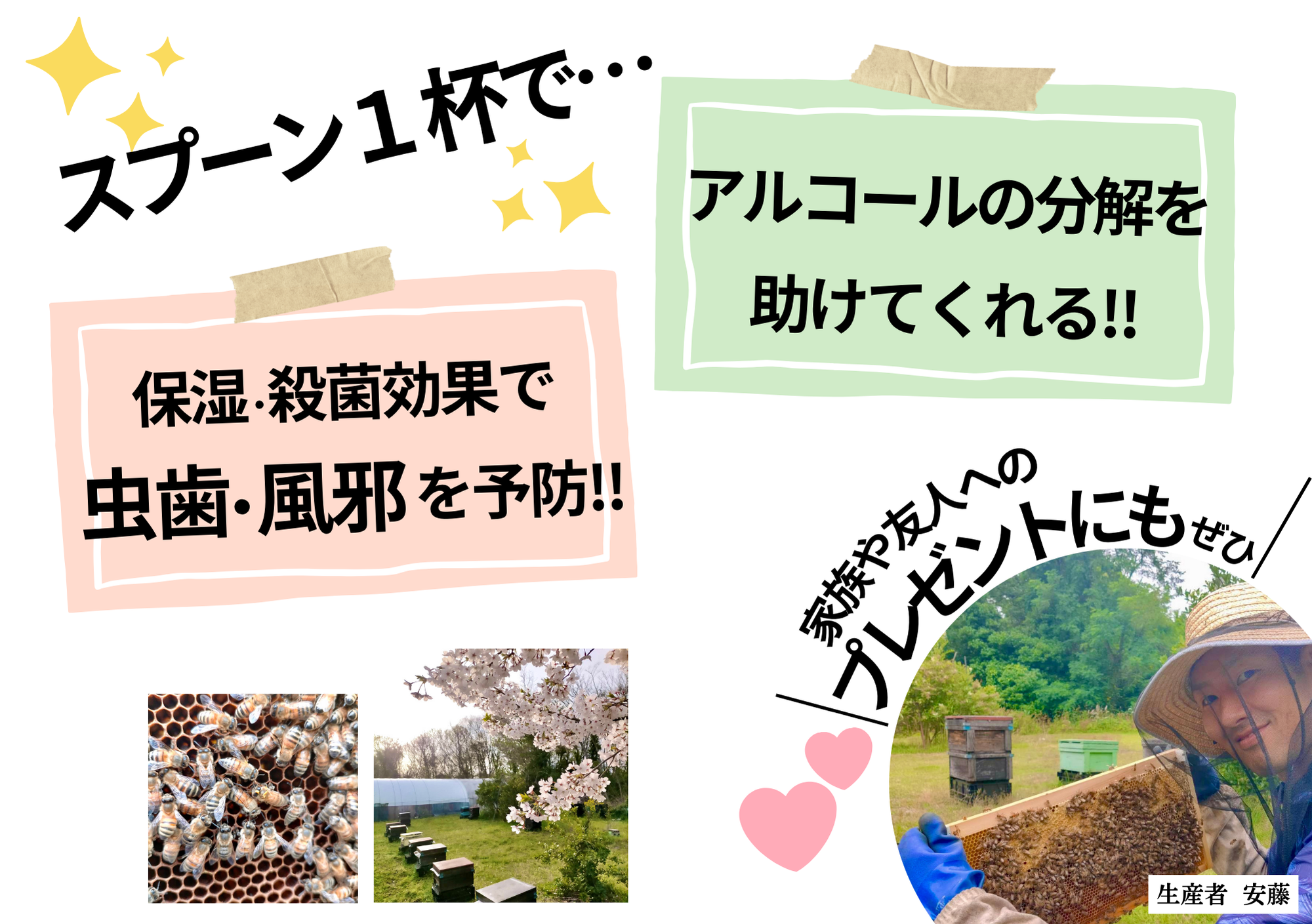添加物なし】はちみつ 600g 蜂蜜 ハチミツ セイヨウミツバチ