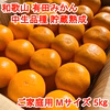 【ご家庭用・中生品種・Ｍサイズ】和歌山有田産みかん≪5㎏≫　★１月７日以降発送