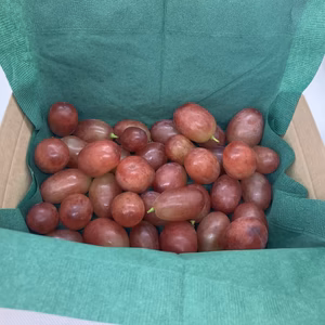 長野県松本市産クイーンルージュ®つぶつぶ１ｋｇ（500g×2パック）