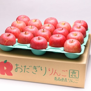 青森県産りんご【約5kg】サンふじ売り尽くしセール‼️