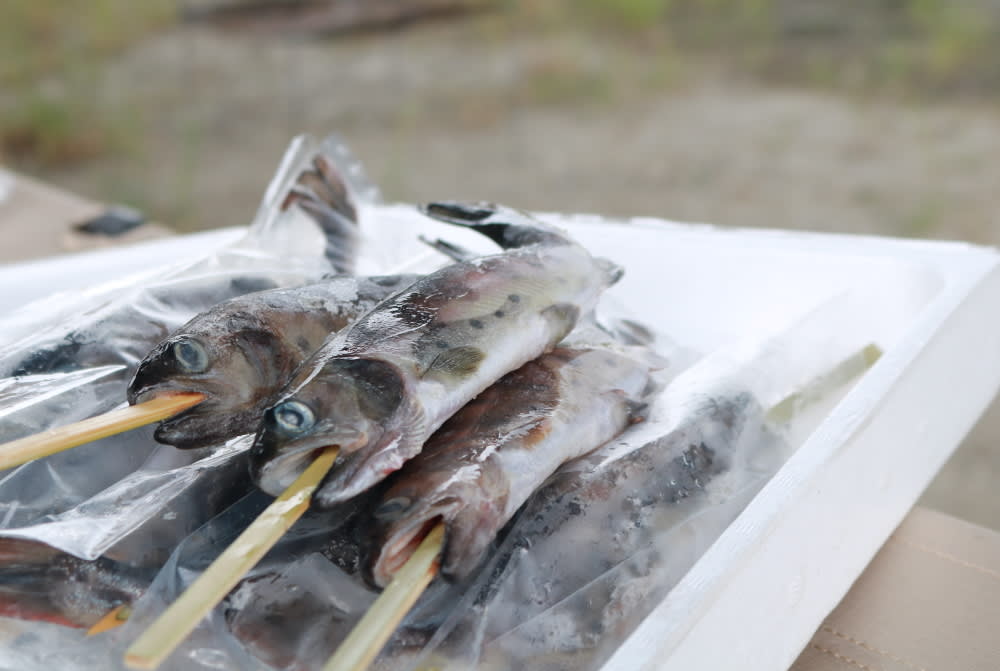 ヤマメを焼けばそこが清流。東京湾河口で阿蘇の旅をたしなんできた | 農家漁師から産地直送の通販 ポケットマルシェ