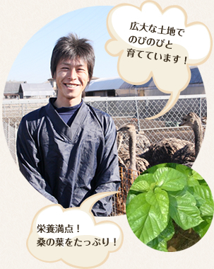 栃木県小山市｜小山だちょう園｜片柳雄大さんの生産者プロフィール