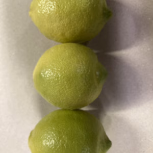 栗隆園の甘酸っぱいレモン