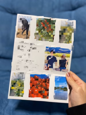 みんなの投稿の画像