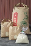 令和4年産新米(^^)清流育ち!おいしいコシヒカリ3kg 5kgはおまけ付き