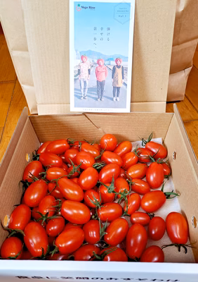 みんなの投稿の画像