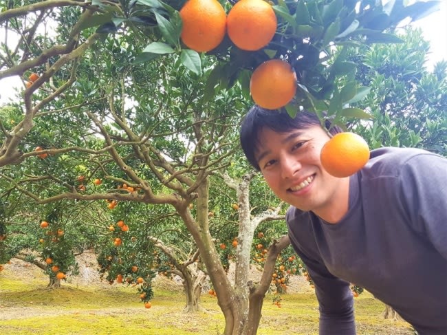 種子島しんさく農園|山田晋作さん | 農家漁師から産地直送の通販 ポケットマルシェ 種子島しんさく農園|山田晋作さん | 農家漁師から産地直送の通販 ポケットマルシェ