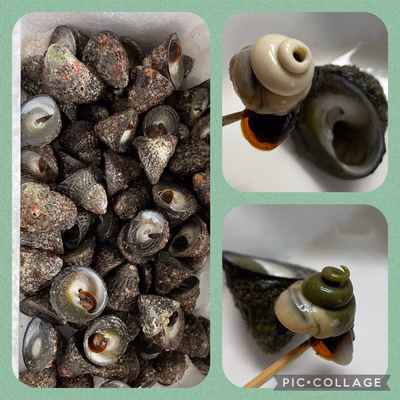 みんなの投稿の画像