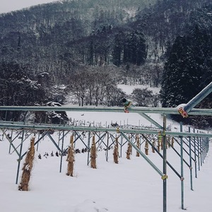 HOME 生産者一覧 宮下英明