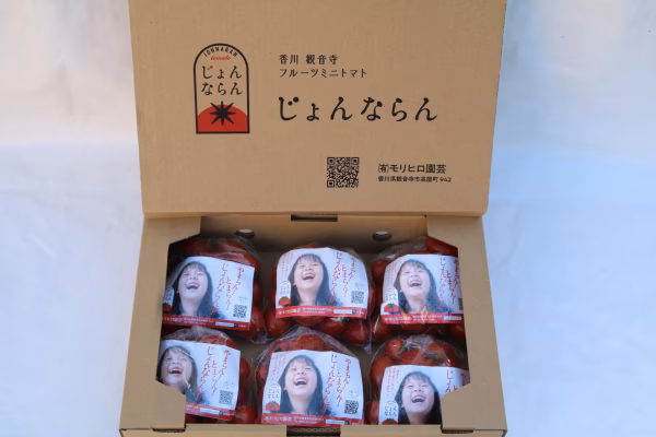 モリヒロ園芸が育てたじょんならんトマト