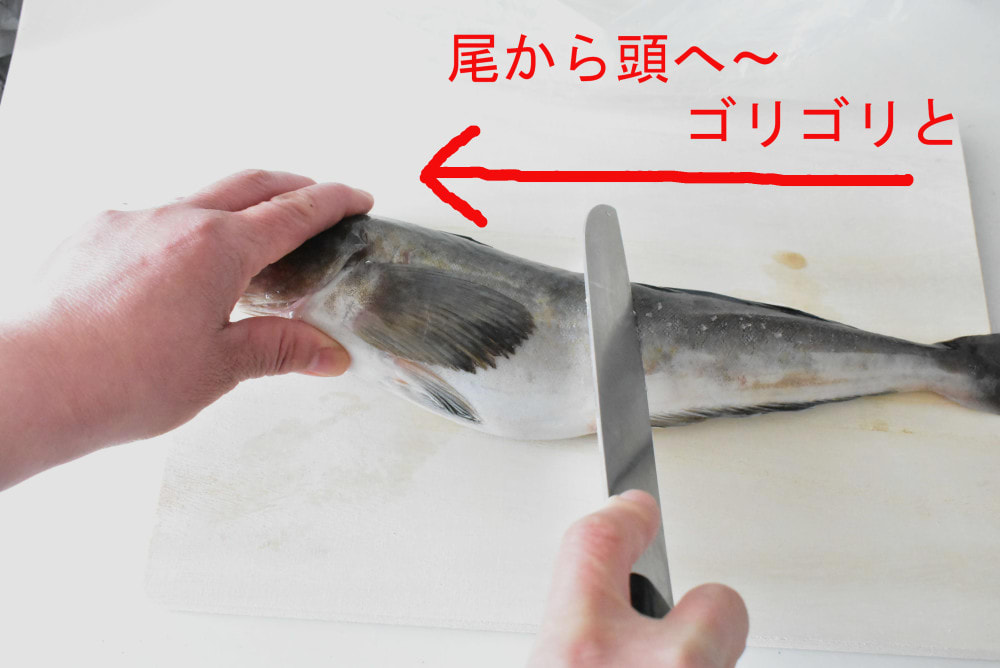 出刃包丁は不要 普通の包丁とハサミでお魚捌きに入門しない 農家漁師から産地直送の通販 ポケットマルシェ