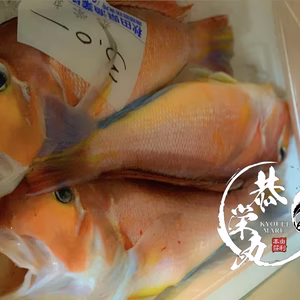 秋田県産　高級魚　天然甘鯛BOX‼️2025Edition