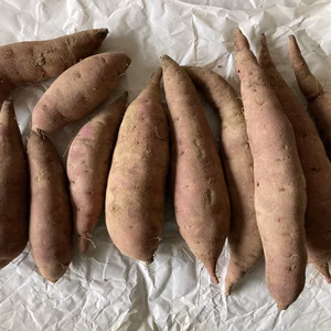 【土つき】ちへいのべにはるか