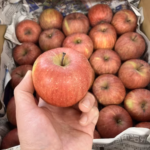 【お買い得小玉サイズ】「完熟サンふじ」食べやすい手のひらサイズ
