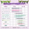 G-2家　花笑み農園『瀬戸ジャイアンツ』家庭用　約2kg（3~5房）9/27～