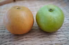 【山口産】無袋栽培豊水、ゴールド二十世紀食べ比べセット合計6～7個