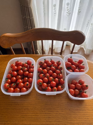 みんなの投稿の画像