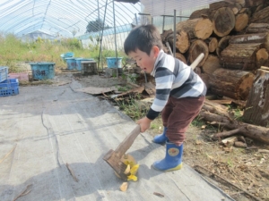 14705847_1099136370194142_6263741590056640799_n