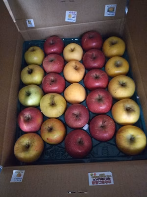 みんなの投稿の画像